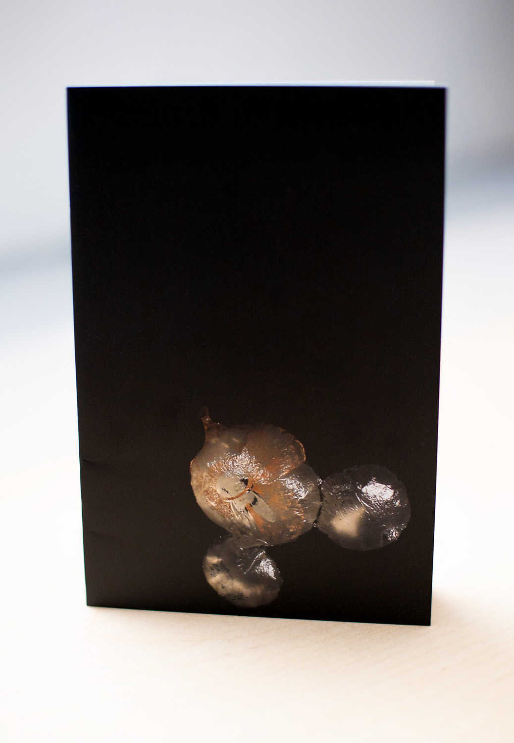 Photo of the cover of the publication for the film LIMULUS, featuring a mylar balloon retrived from the ocean