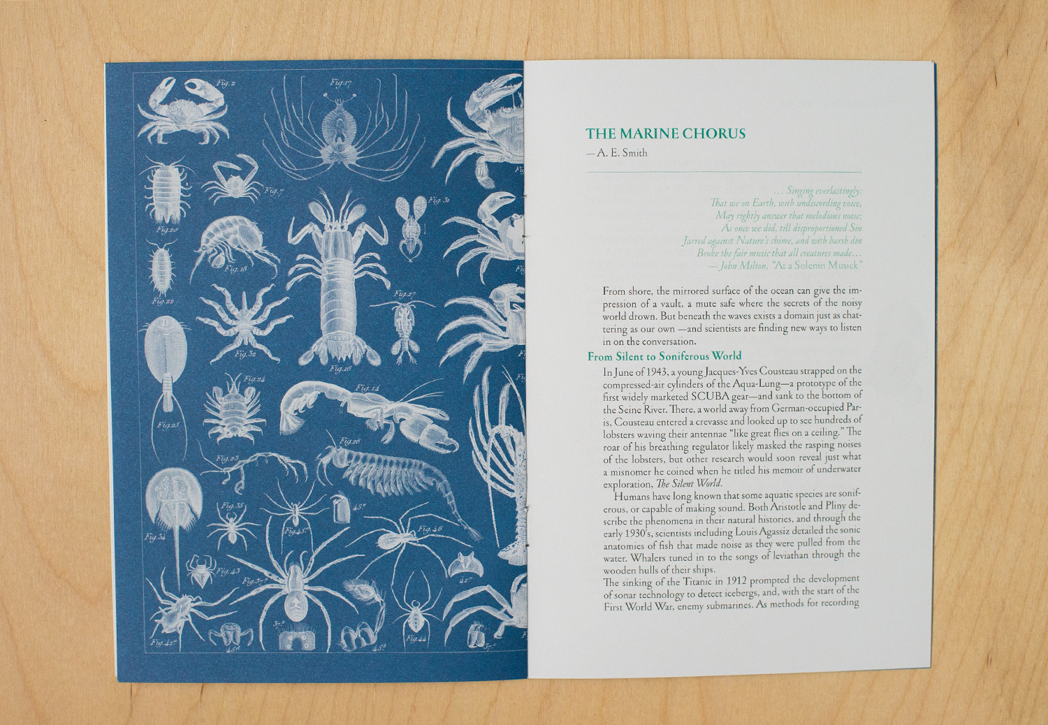 Photo of interior of the publication LIMULUS featuring the essay The Marine Chorus by AE Smith