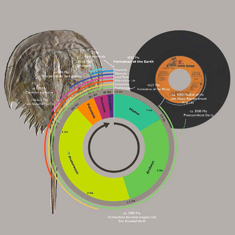 collage of a H20 molecule made of a circular map of geological time, a horseshoecrab fossil and a vinyl record